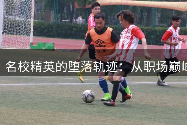 名校精英的堕落轨迹：从职场巅峰到酒局丑闻