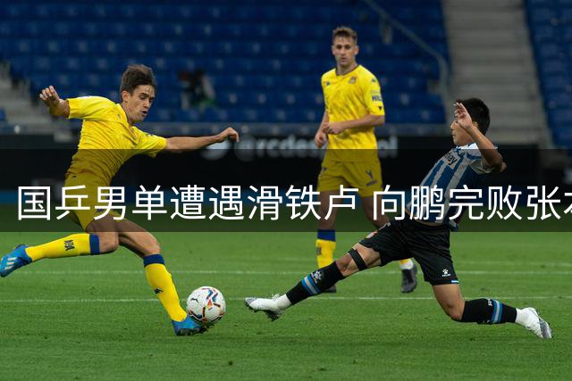 国乒男单遭遇滑铁卢 向鹏完败张本智和止步十六强